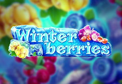 Winterberries